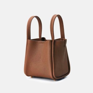 Brown Songmont Medium Song Bucket Bag | SINGAPORE FWIG28