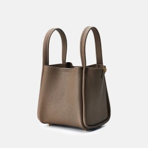 Brown Songmont Medium Song Bucket Bag | SINGAPORE QHRG24