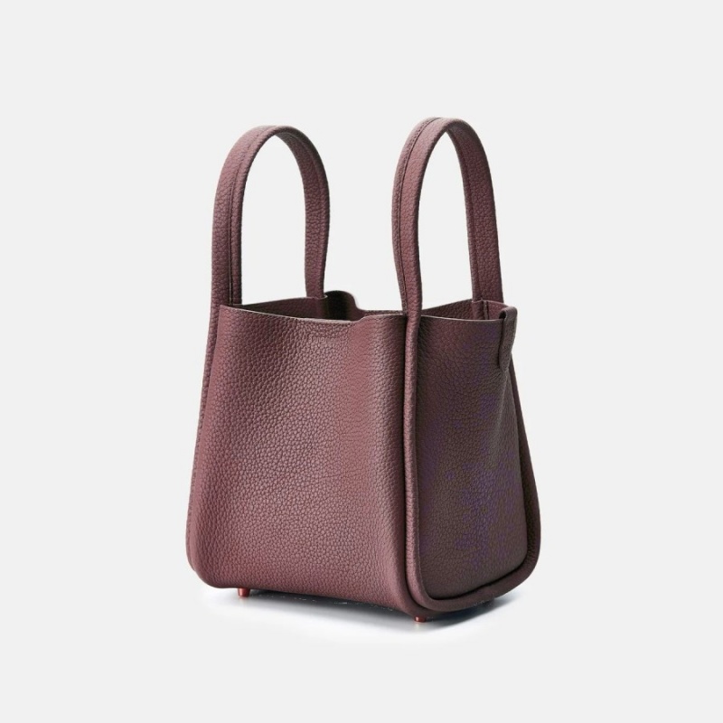 Brown Songmont Medium Song Bucket Bag | SINGAPORE VXDF28